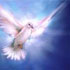 Roh Kudus Memimpin Kepada Kebenaran